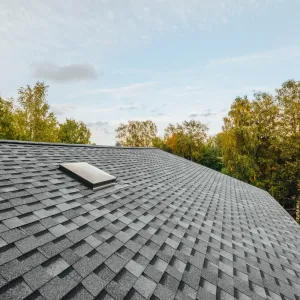 roofing-lake-couty-5